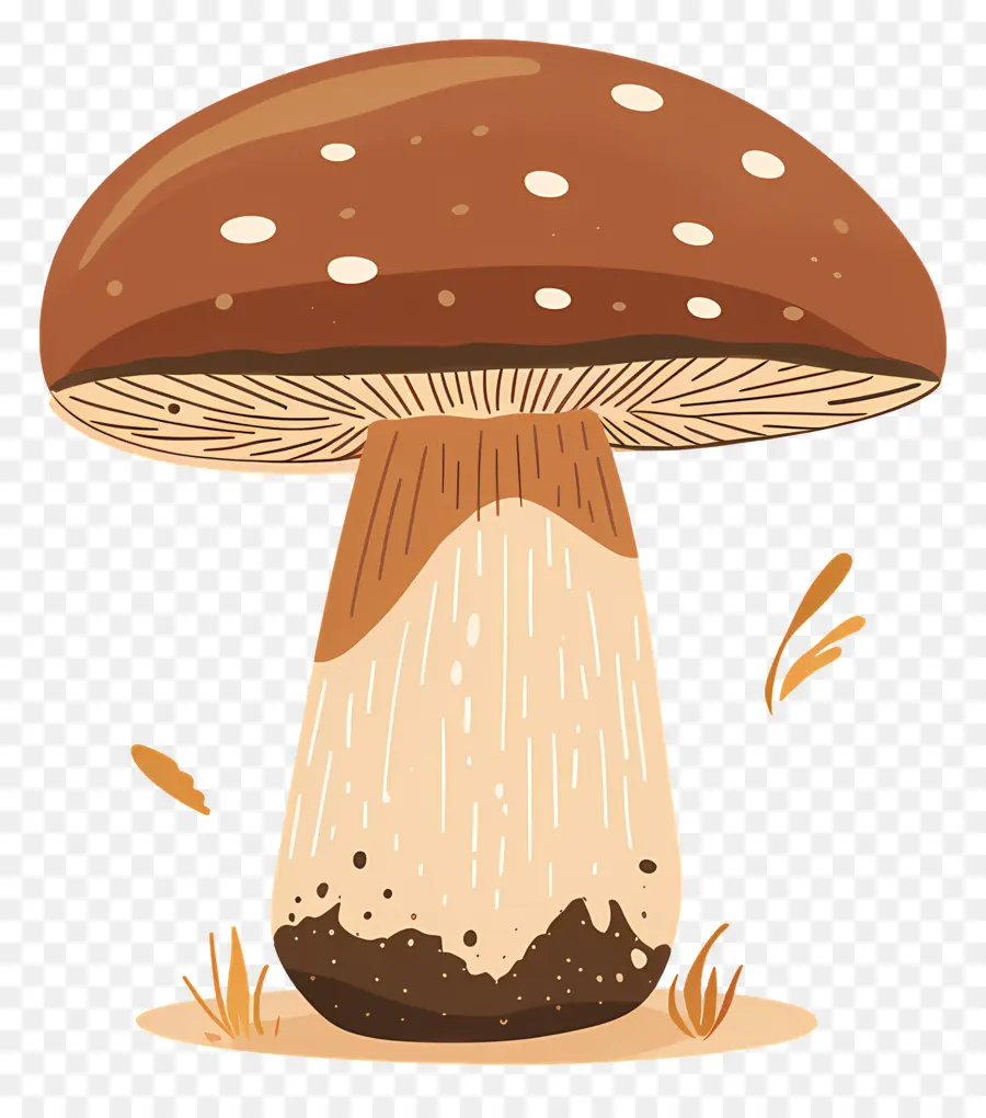 เห็ด Boletus，เห็ดสีดำ PNG