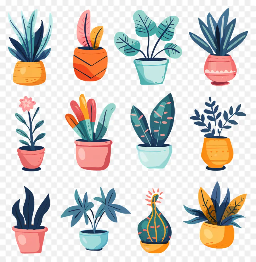 พืช，สีเขียว Succulents PNG