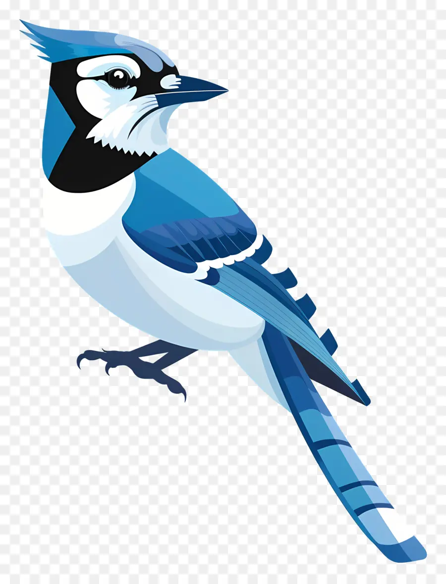 Blue Jay，นกสีฟ้า PNG