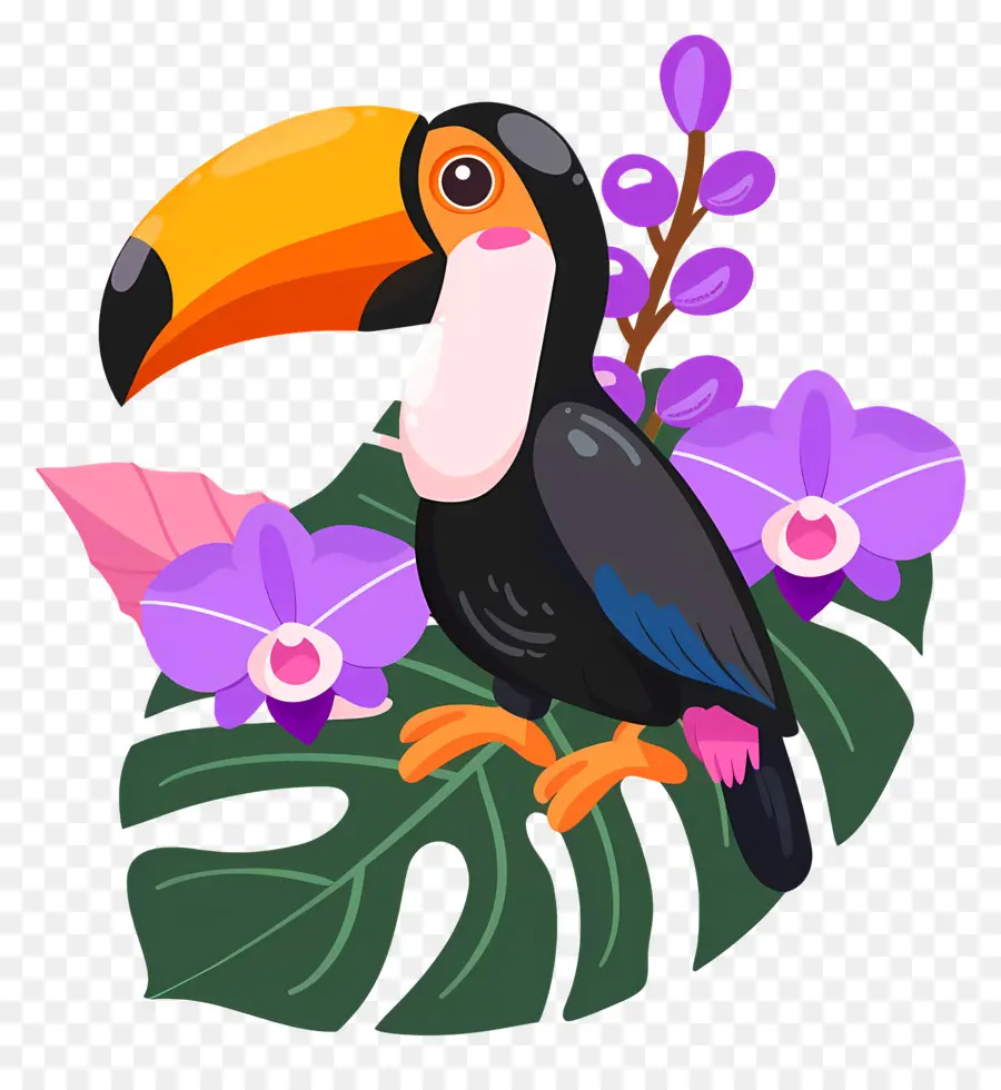 Toucan，ดอกไม้ PNG