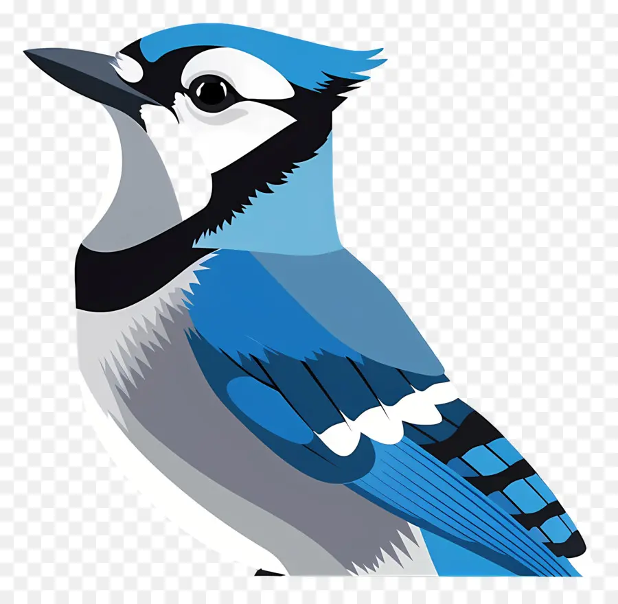 Blue Jay，นกสีฟ้า PNG