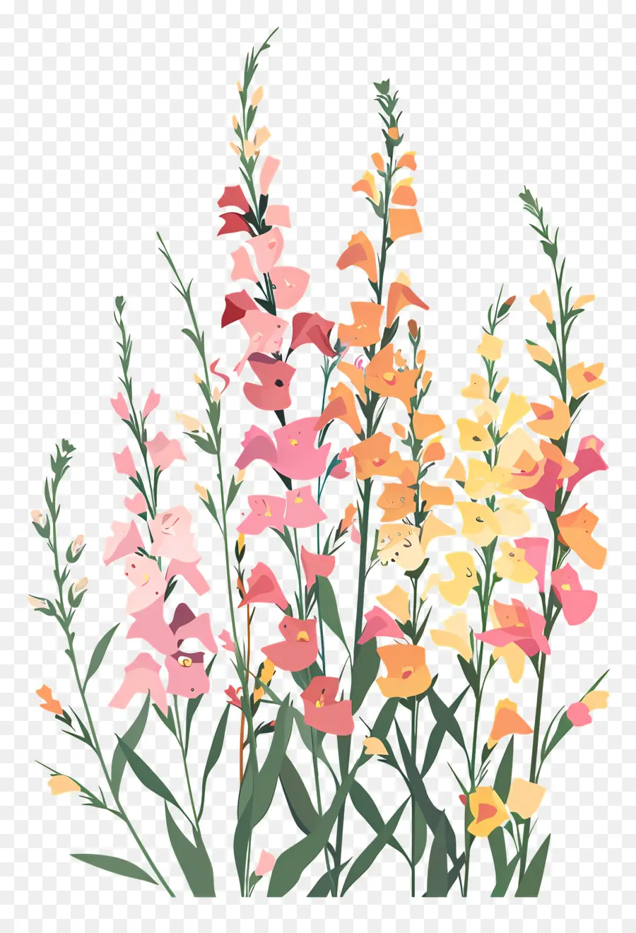 Snapdragons，ดอกไม้สีสันสดใส PNG