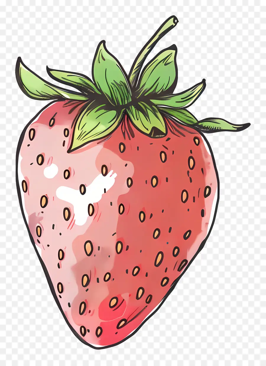 Doodle Strawberry，สตรอเบอร์รี่ PNG