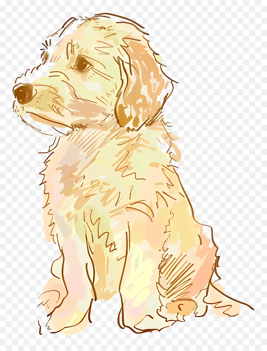 Doodle Dog，ลูกสุนัขน่ารัก PNG