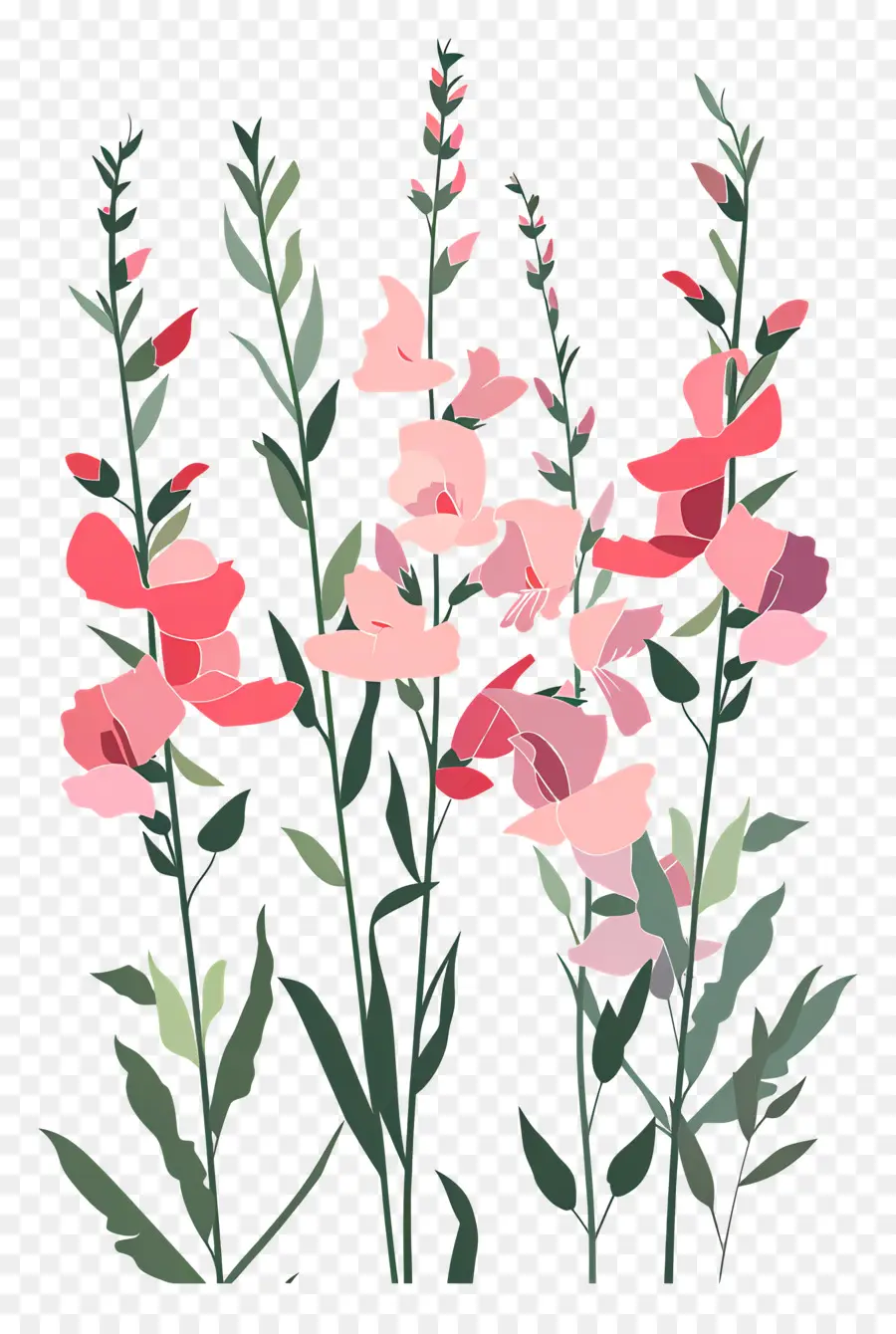 Snapdragons，ดอกไม้สีแดง PNG