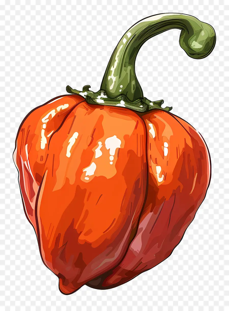 พริกไทย Habanero，พริกหยวกแดง PNG