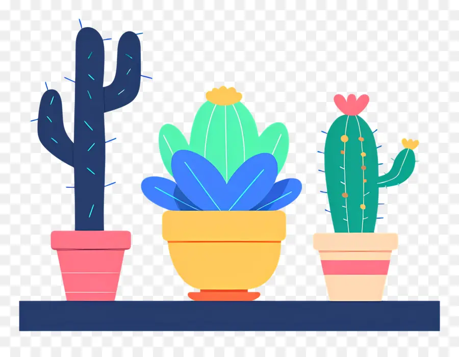 Cacti，ต้นกระบองเพชร PNG