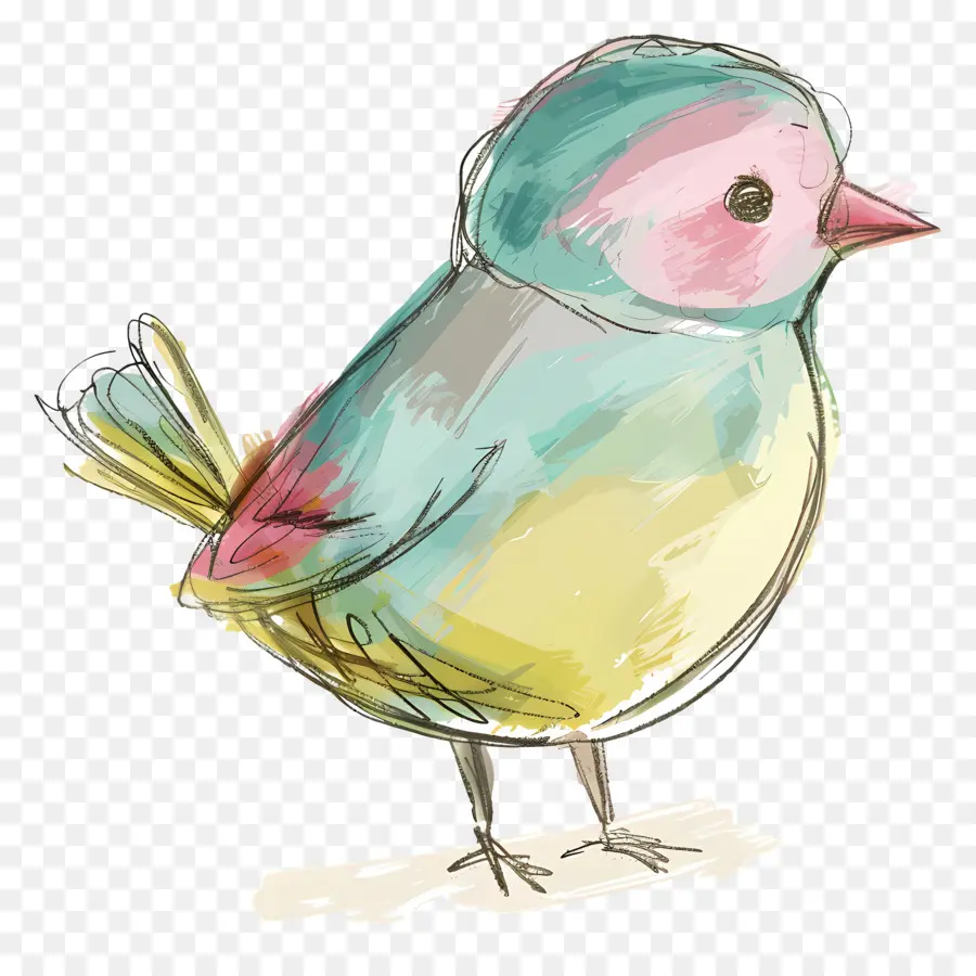 Doodle Bird，นกสีสันสดใส PNG