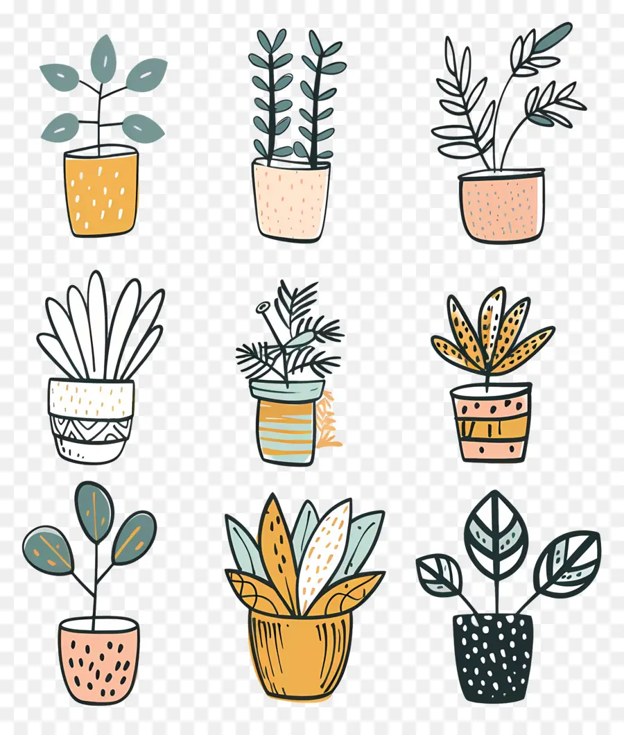 Houseplants ในหม้อ，พืชกระถาง PNG