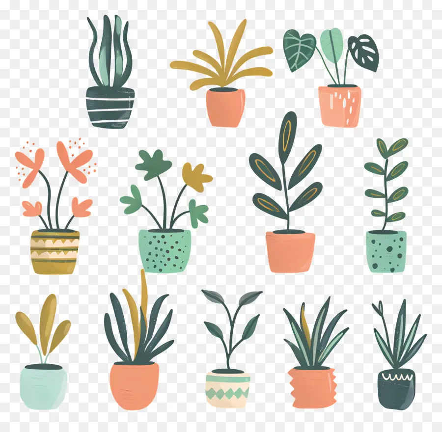 Houseplants ในหม้อ，พืชกระถาง PNG