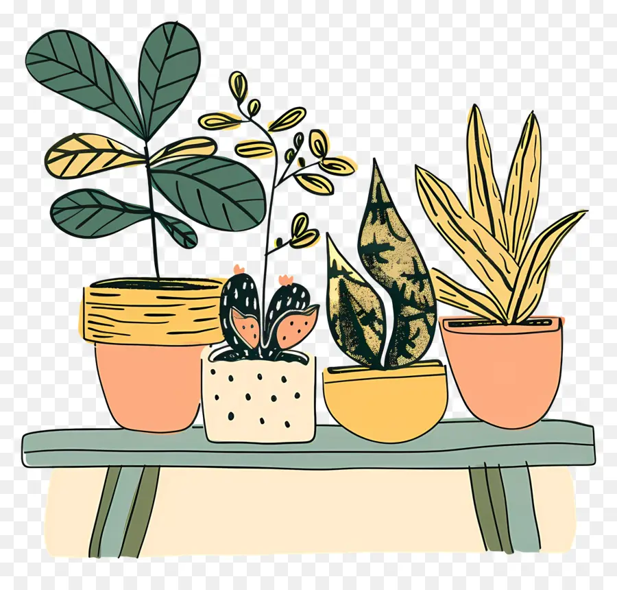 Houseplants ในหม้อ，พืชกระถาง PNG