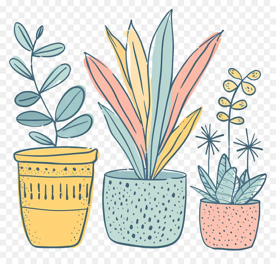 Houseplants ในหม้อ，พืชกระถาง PNG