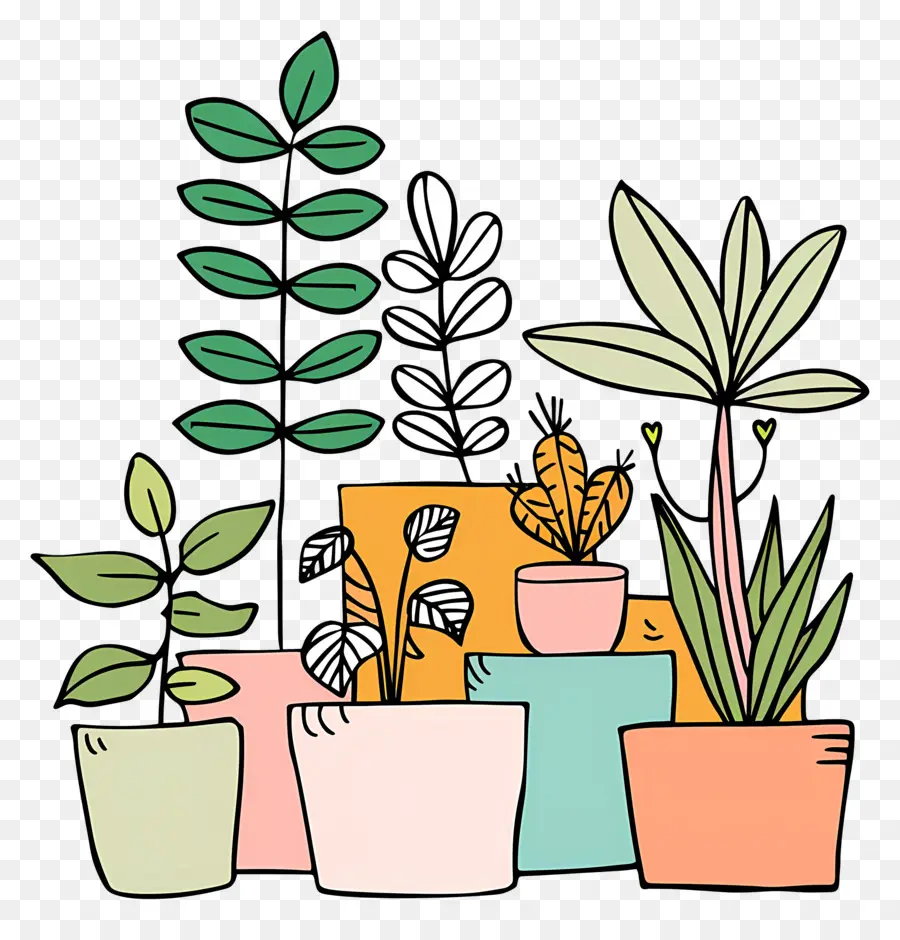 Houseplants ในหม้อ，พืชสีเขียว PNG