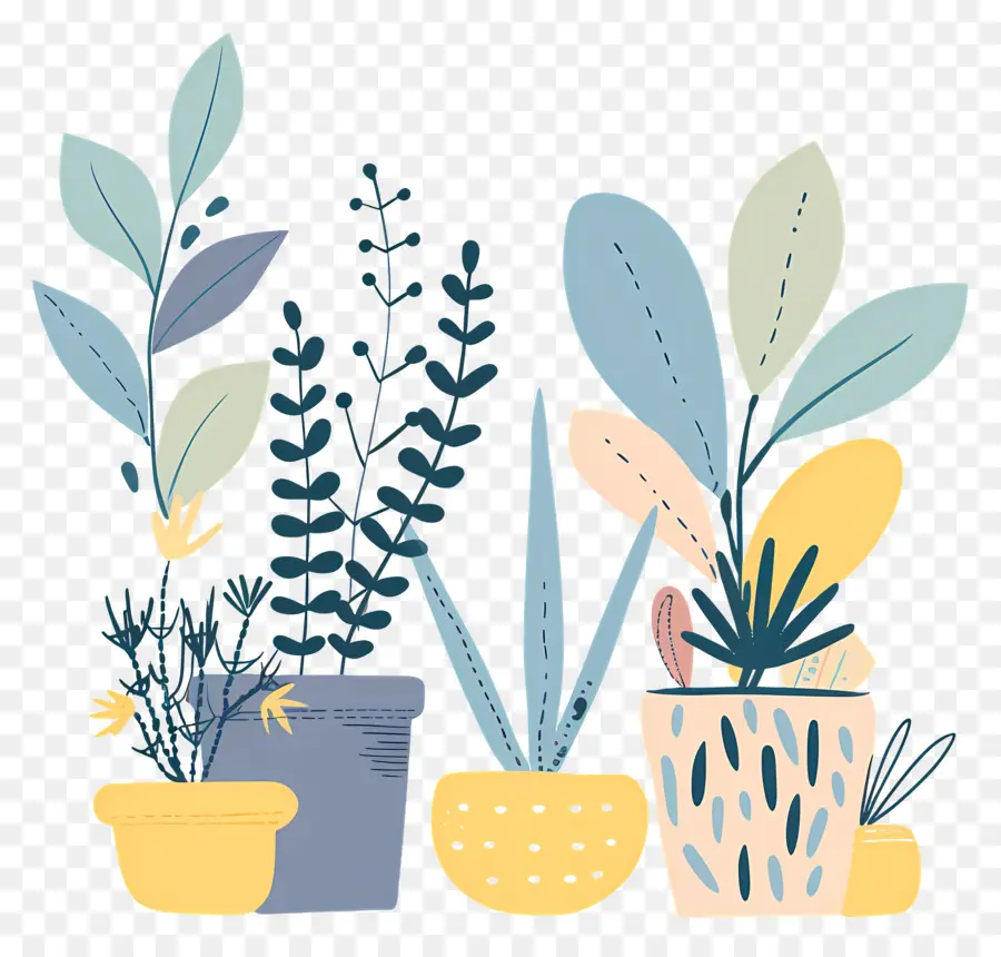 Houseplants ในหม้อ，พืชกระถาง PNG