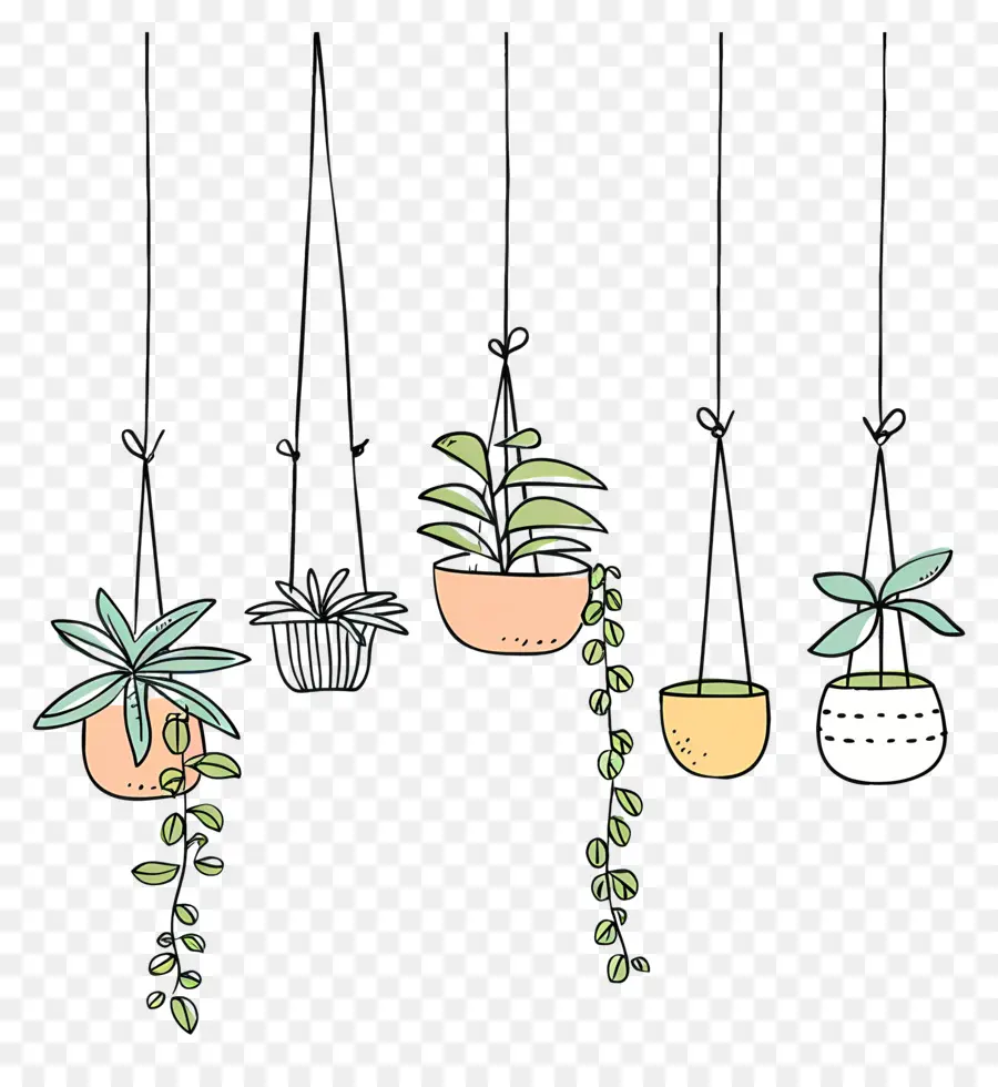 Houseplants แขวน，พืชแขวน PNG