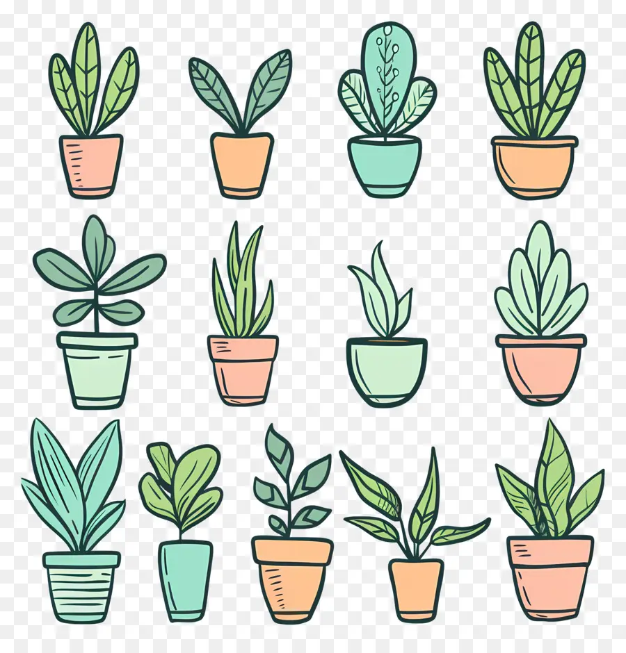 Houseplants ในหม้อ，พืชกระถาง PNG