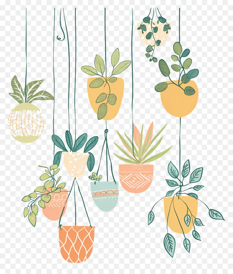 Houseplants แขวน，พืชแขวน PNG