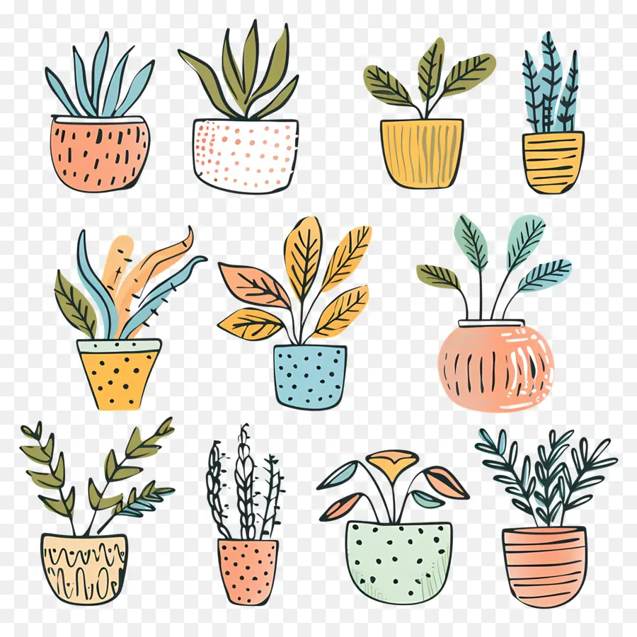 Houseplants ในหม้อ，พืชกระถาง PNG