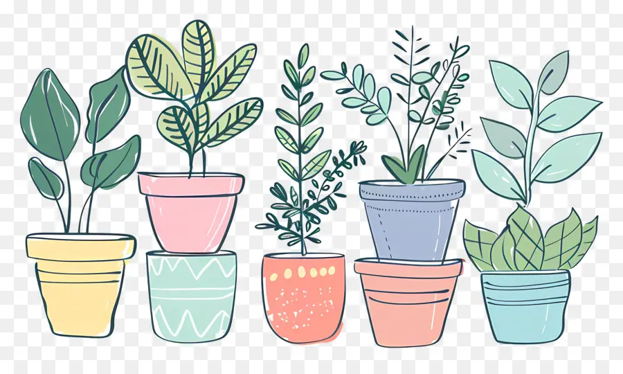 Houseplants ในหม้อ，พืชกระถาง PNG