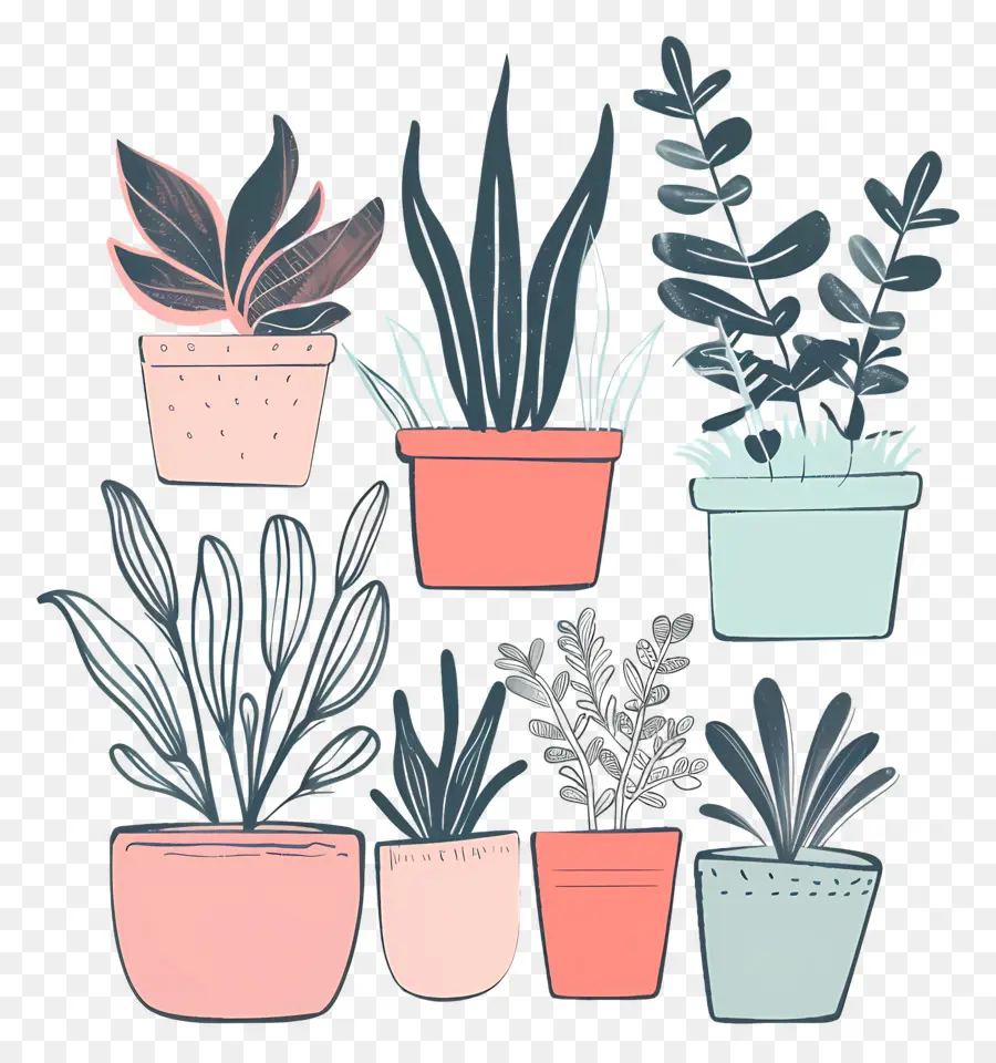 Houseplants ในหม้อ，พืชกระถาง PNG