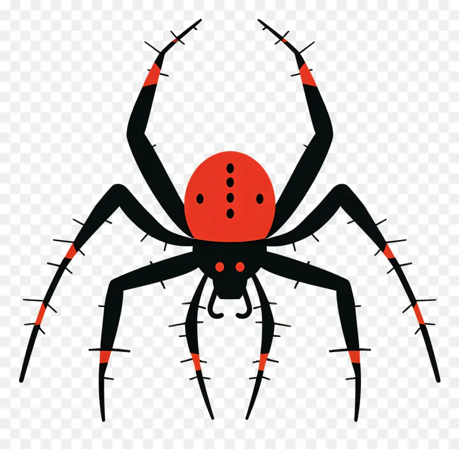 แมงมุม，Arachnid PNG