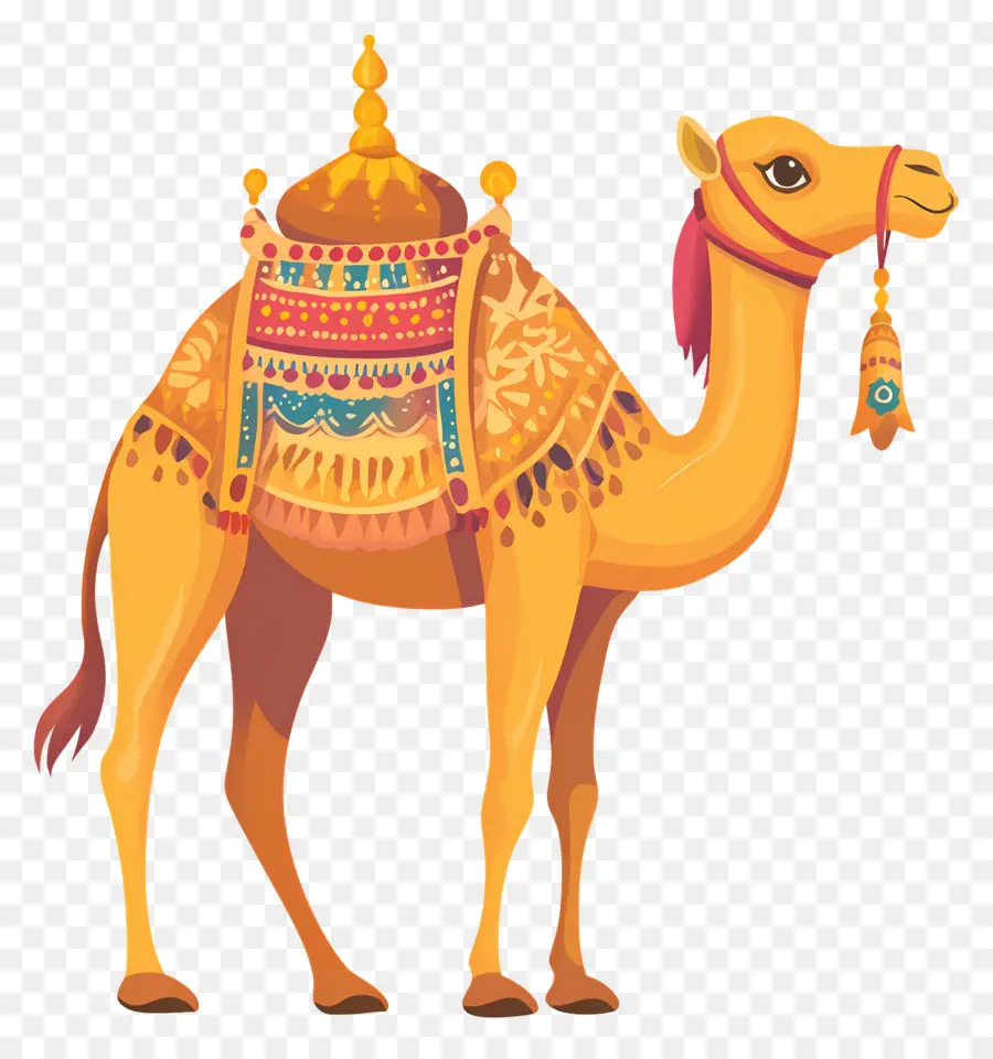 Pushkar Camel Fair，อูฐ PNG