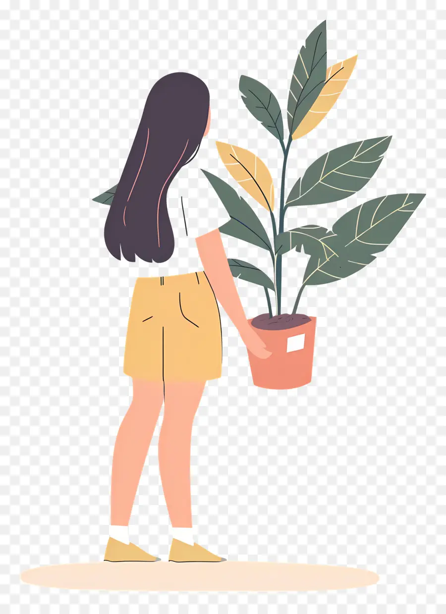 หญิงสาวถือ Houseplant，หญิงสาวกับพืช PNG