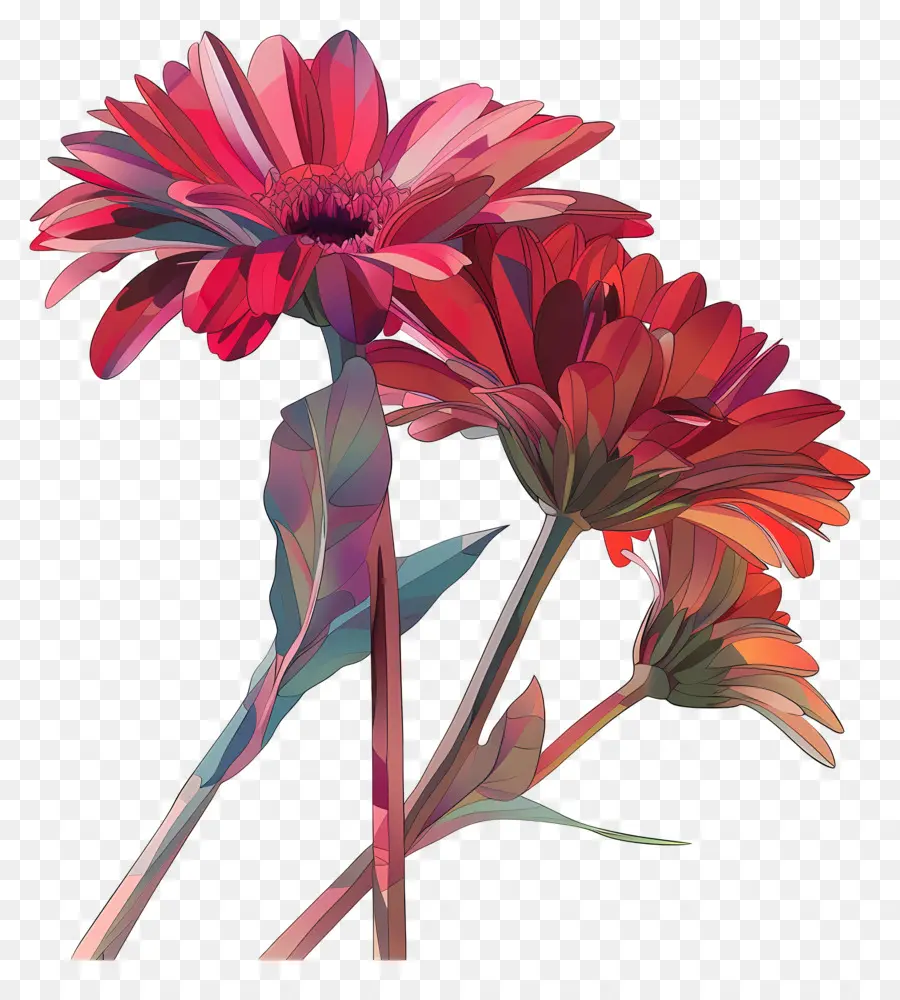 ดอกไม้ Gerberas，ดอกไม้สีส้ม PNG