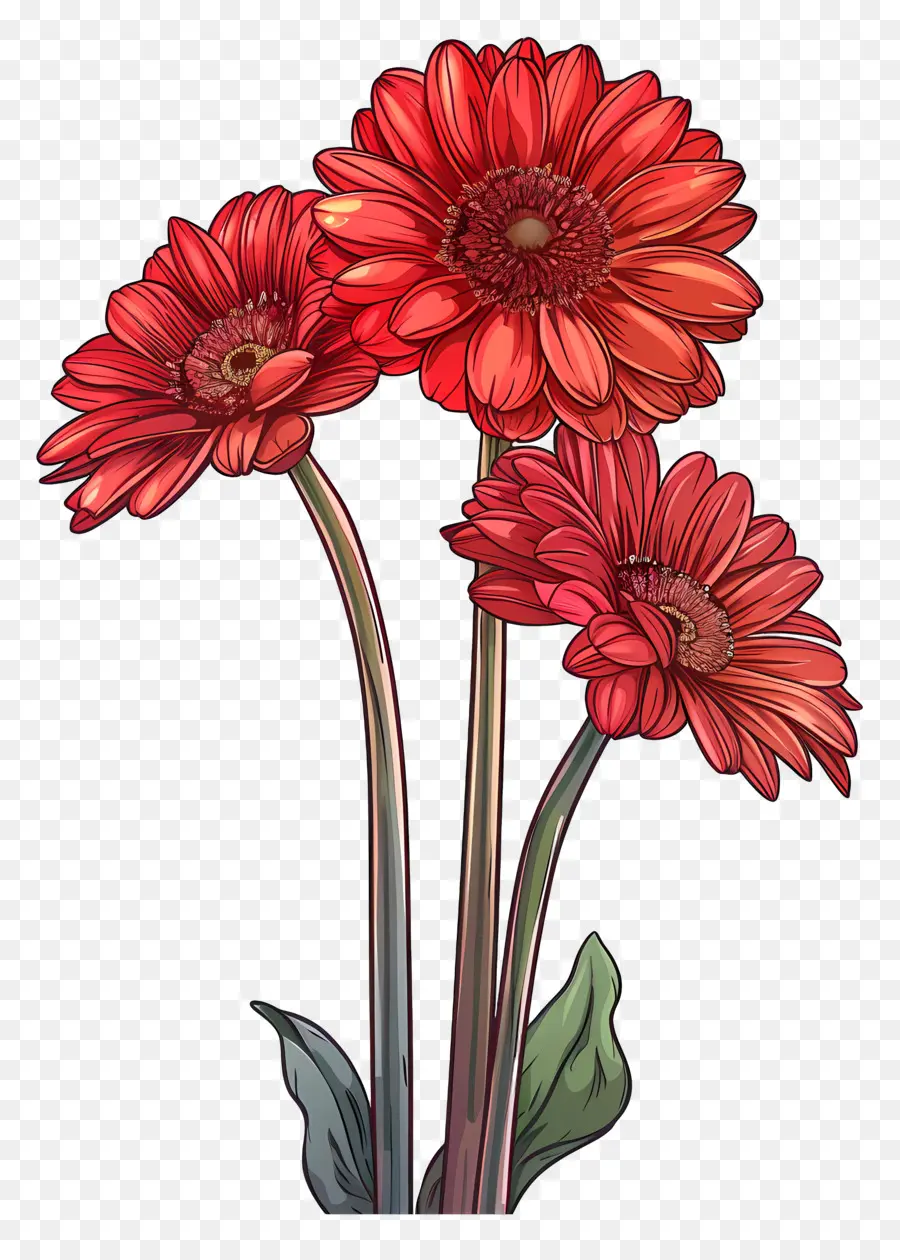 ดอกไม้ Gerberas，ดอกไม้สีแดง PNG