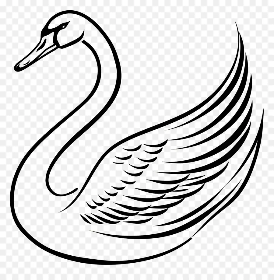 เค้าโครง Swan，หงส์ PNG