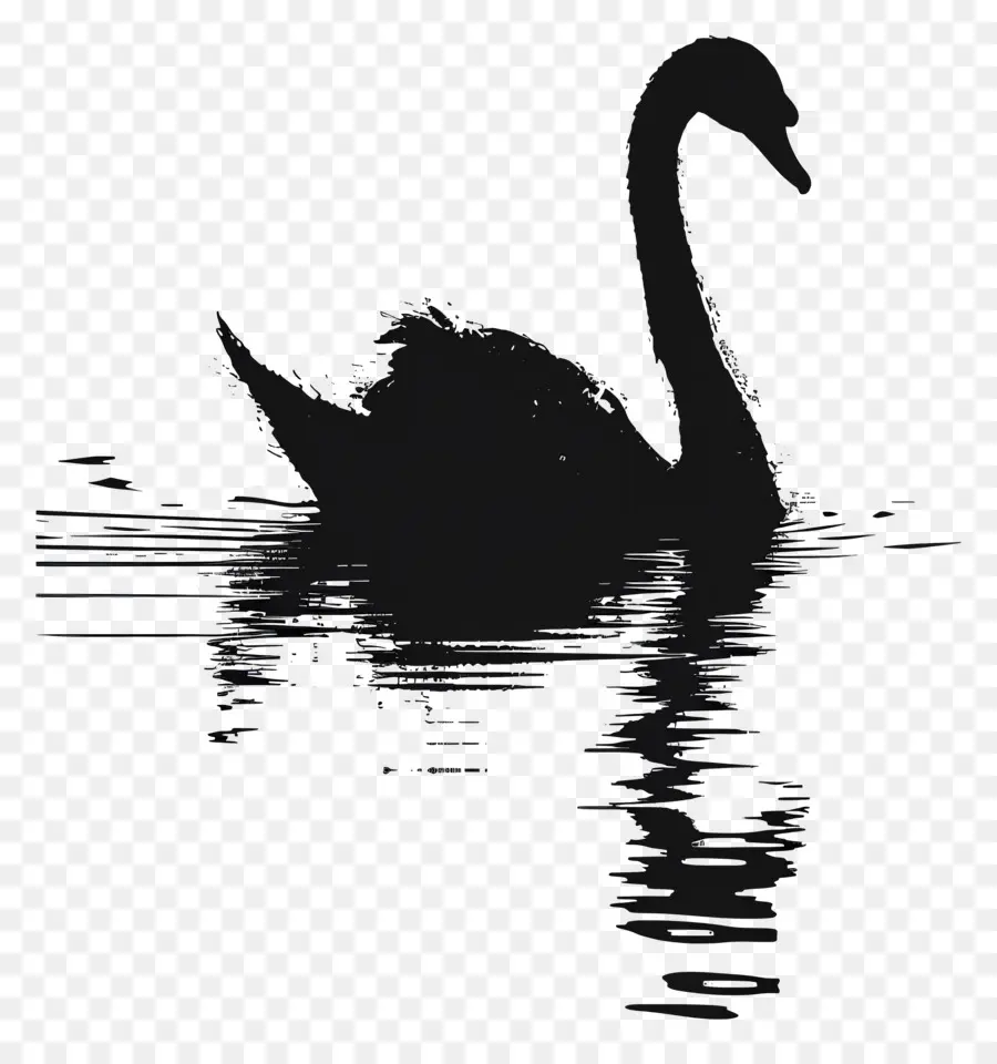 Swan Silhouette，หงส์ดำ PNG