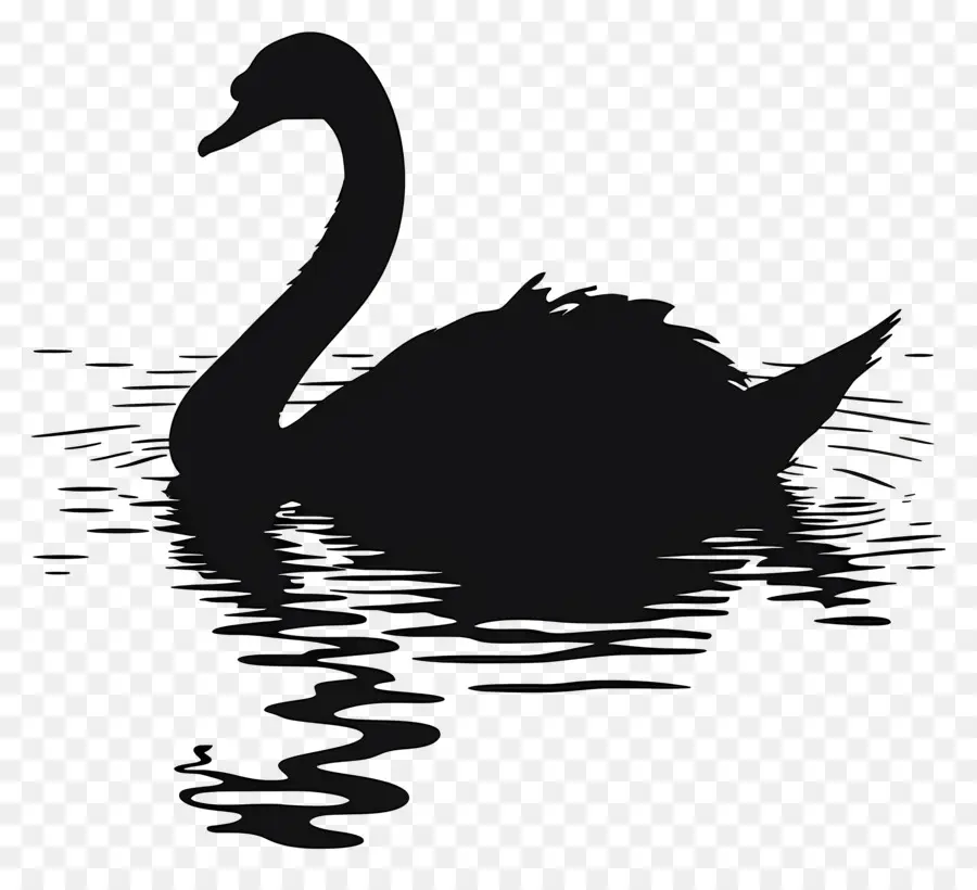 Swan Silhouette，หงส์ดำ PNG