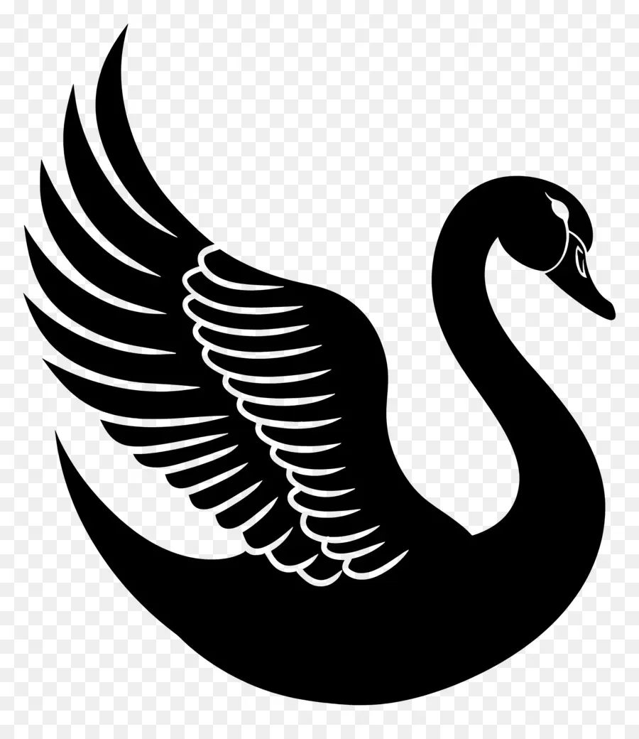 Swan Silhouette，หงส์ PNG