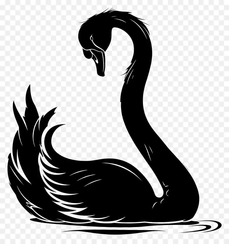 Swan Silhouette，หงส์ PNG