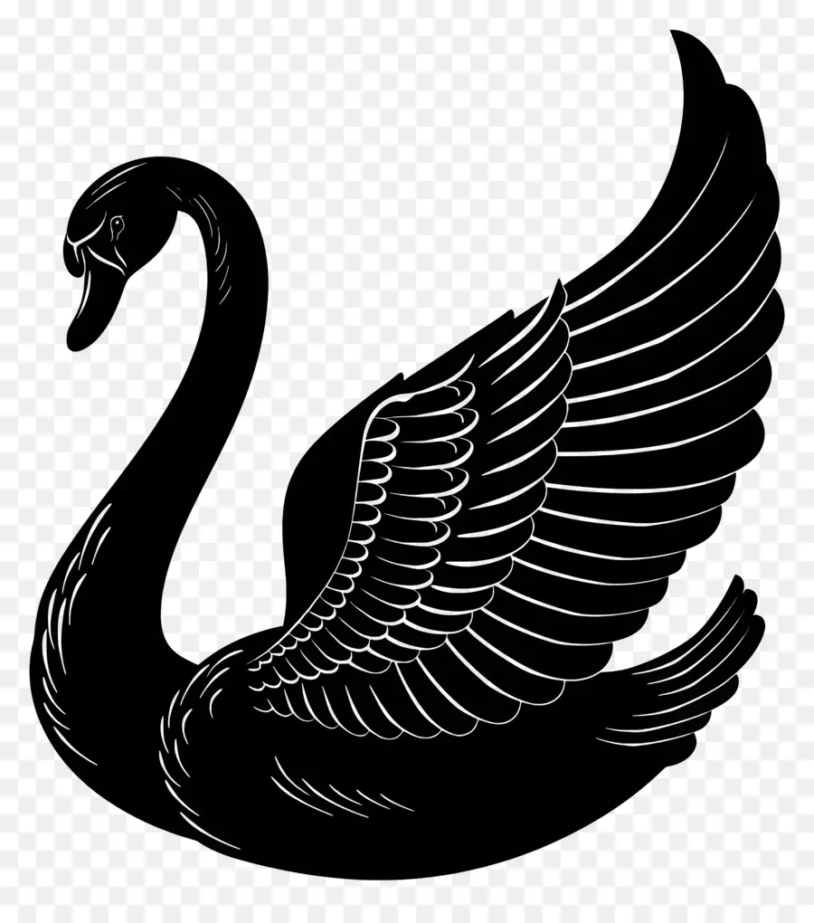 Swan Silhouette，หงส์ PNG