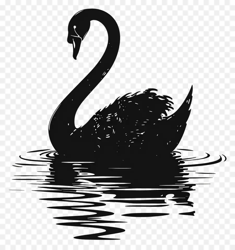 Swan Silhouette，หงส์ดำ PNG