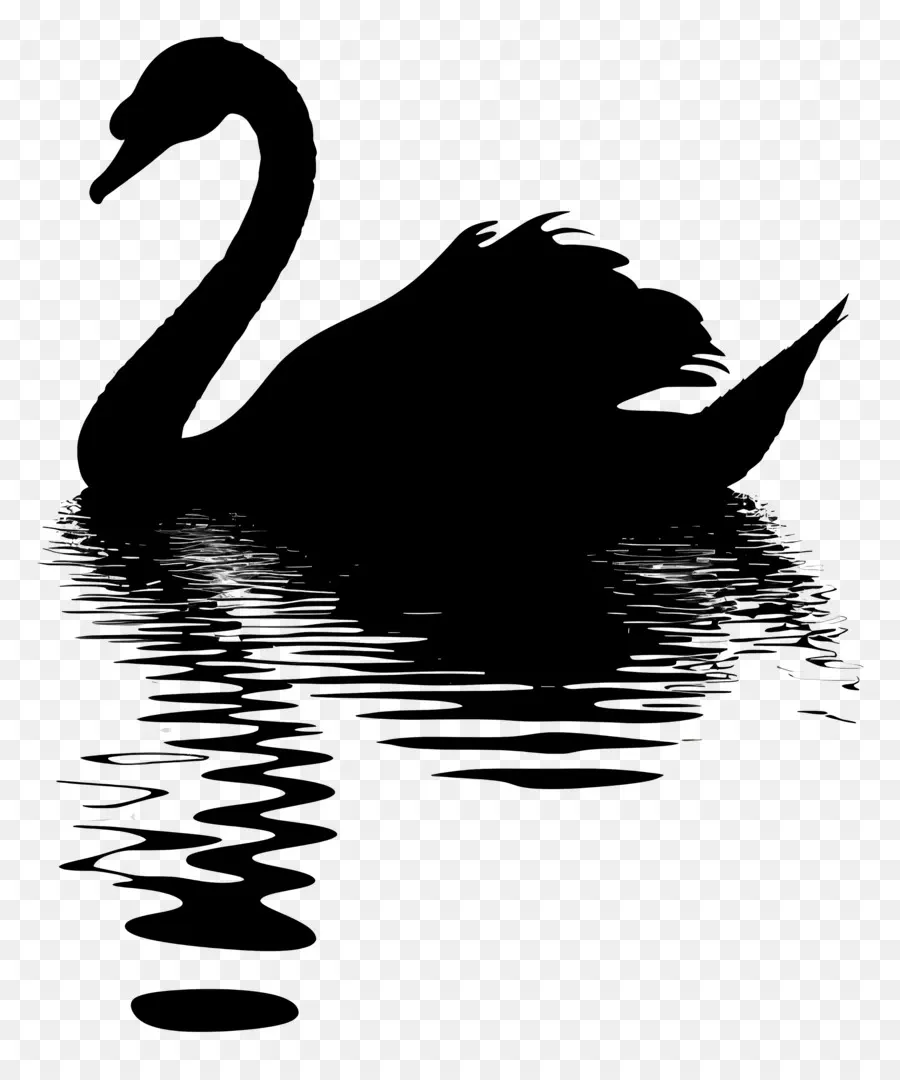 Swan Silhouette，หงส์ดำ PNG