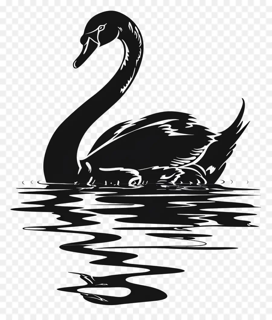 Swan Silhouette，หงส์ดำ PNG