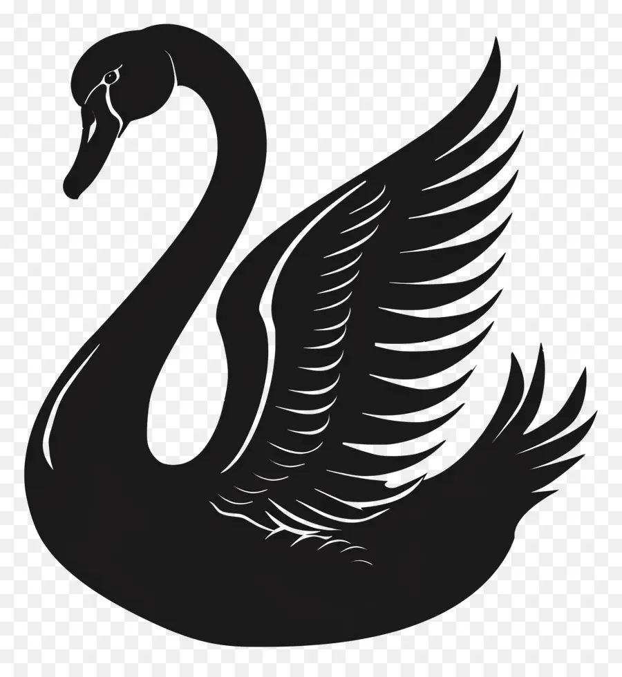 Swan Silhouette，หงส์ PNG