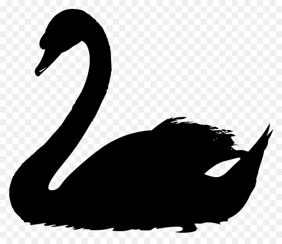 Swan Silhouette，หงส์ PNG