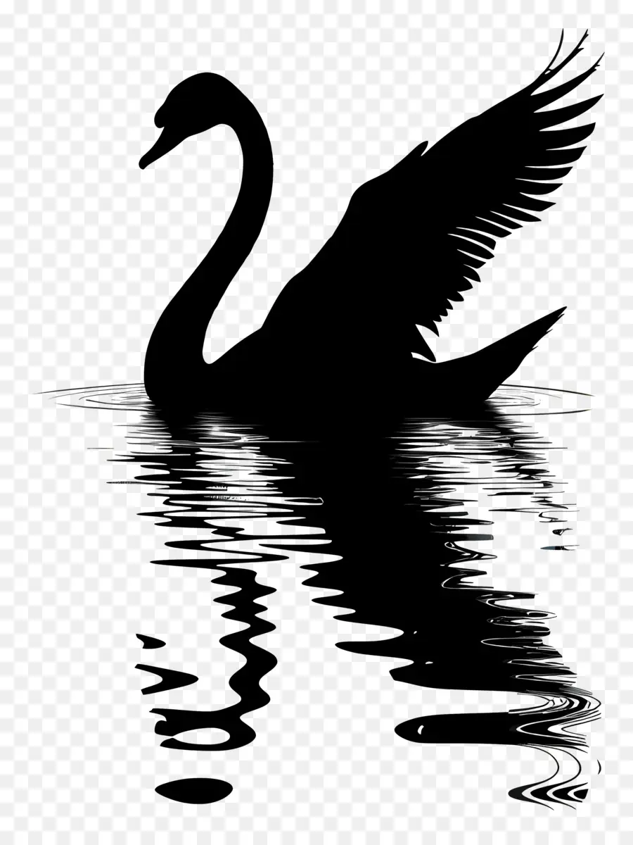 Swan Silhouette，หงส์ดำ PNG