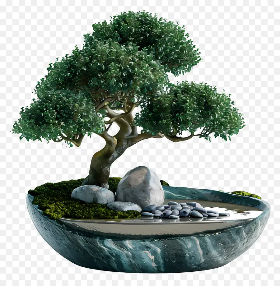 Ficus Bonsai，ต้นบอนไซ PNG