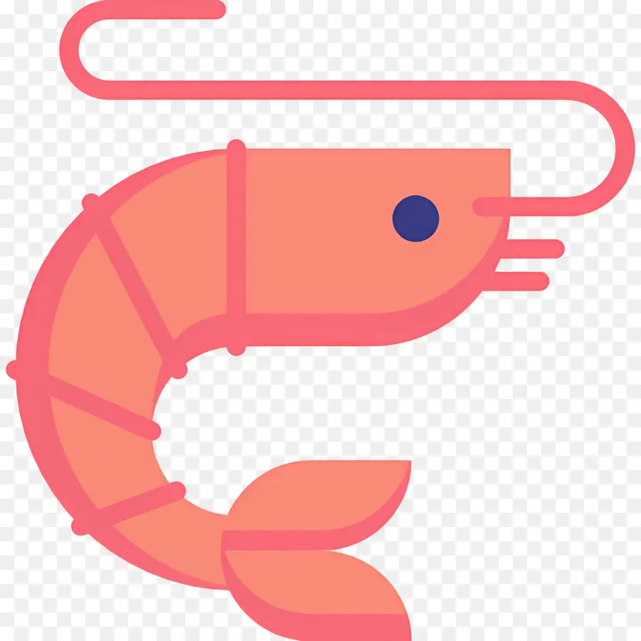 กุ้ง，ทะเล PNG