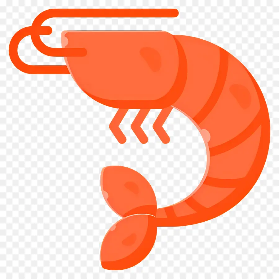 กุ้ง，กุ้งสีชมพู PNG