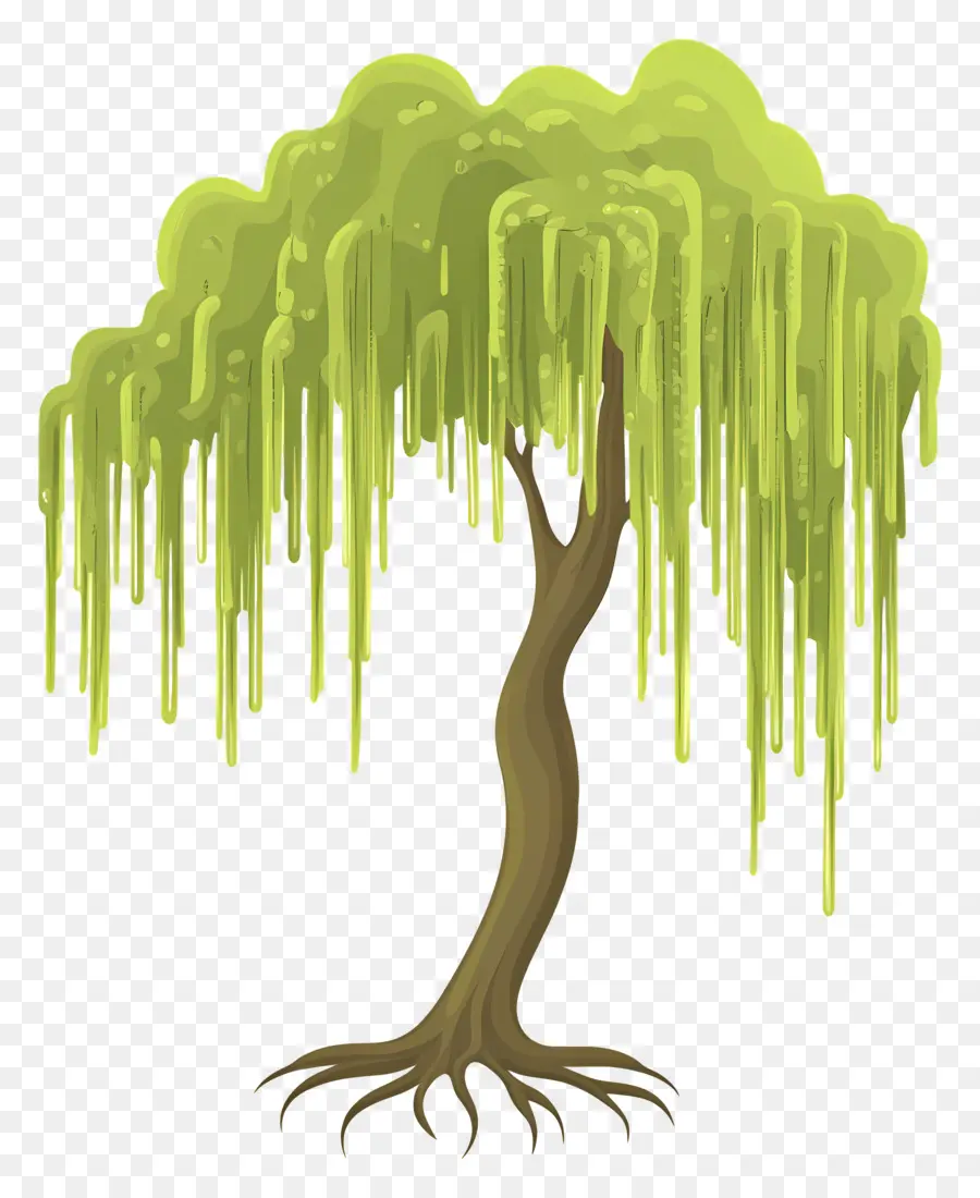 ต้นไม้หนาแน่น，Weeping Willow Tree PNG