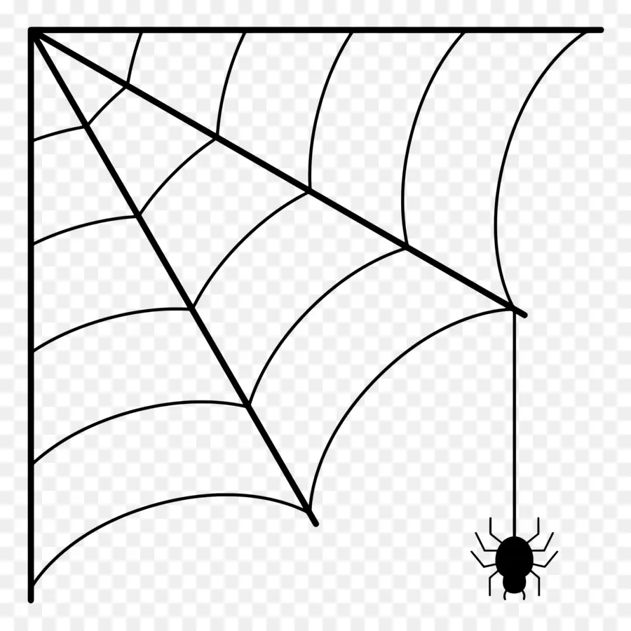 Halloween Spider Web，แมงมุมเว็บ PNG