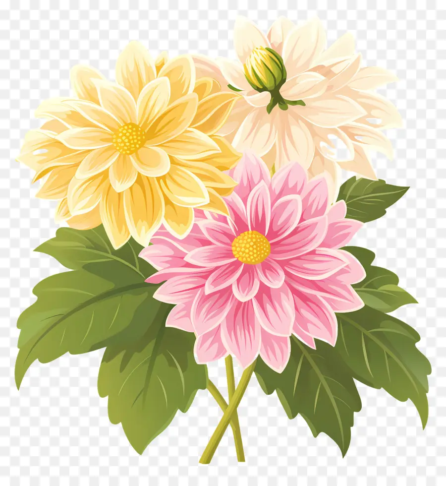 ดอกไม้ Dahlia，ดอกไม้สีชมพูและสีเหลือง PNG