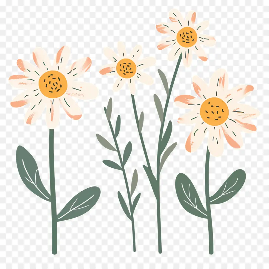 ดอกเดซี่，Doodle Daisies PNG