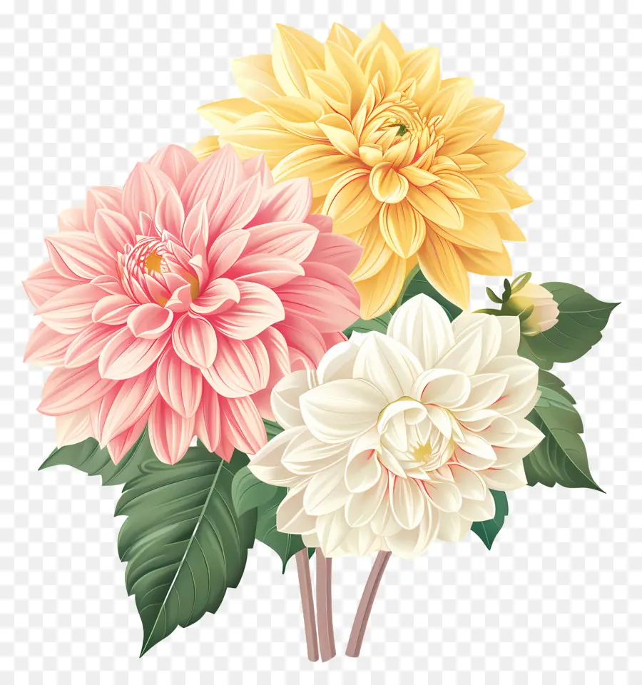 ดอกไม้ Dahlia，ดอกไม้สีส้ม PNG