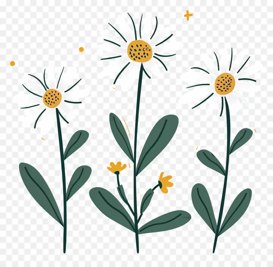 ดอกเดซี่，Doodle Daisies PNG